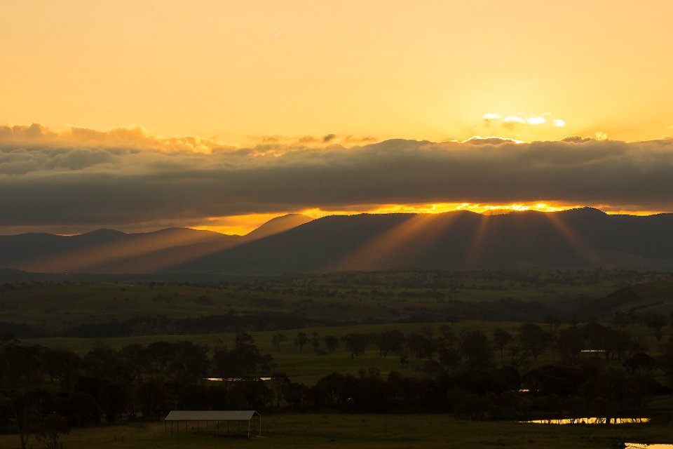 evening light3